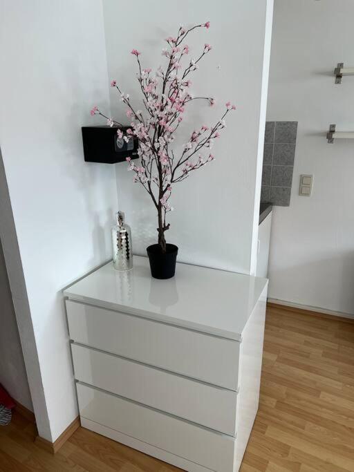 Kleines Apartment Im Zentrum Von Wuerzburg Luaran gambar